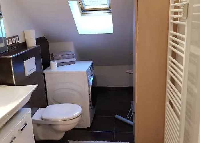 Joanna - Ma Rheinau 5